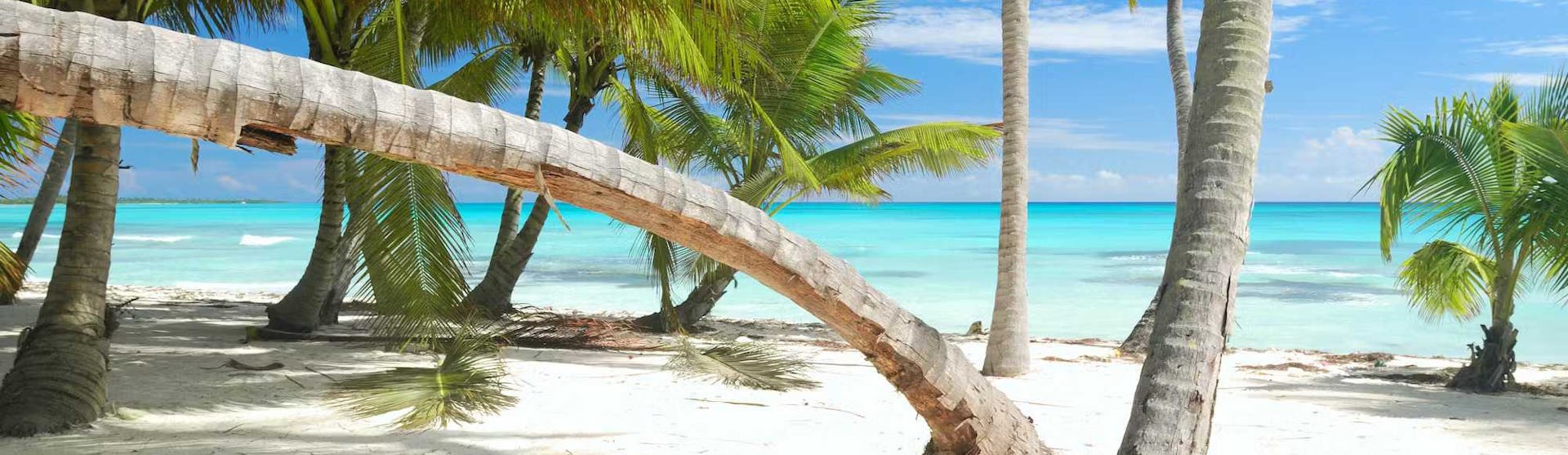 Cruises to the Caribbean and the Bahamas